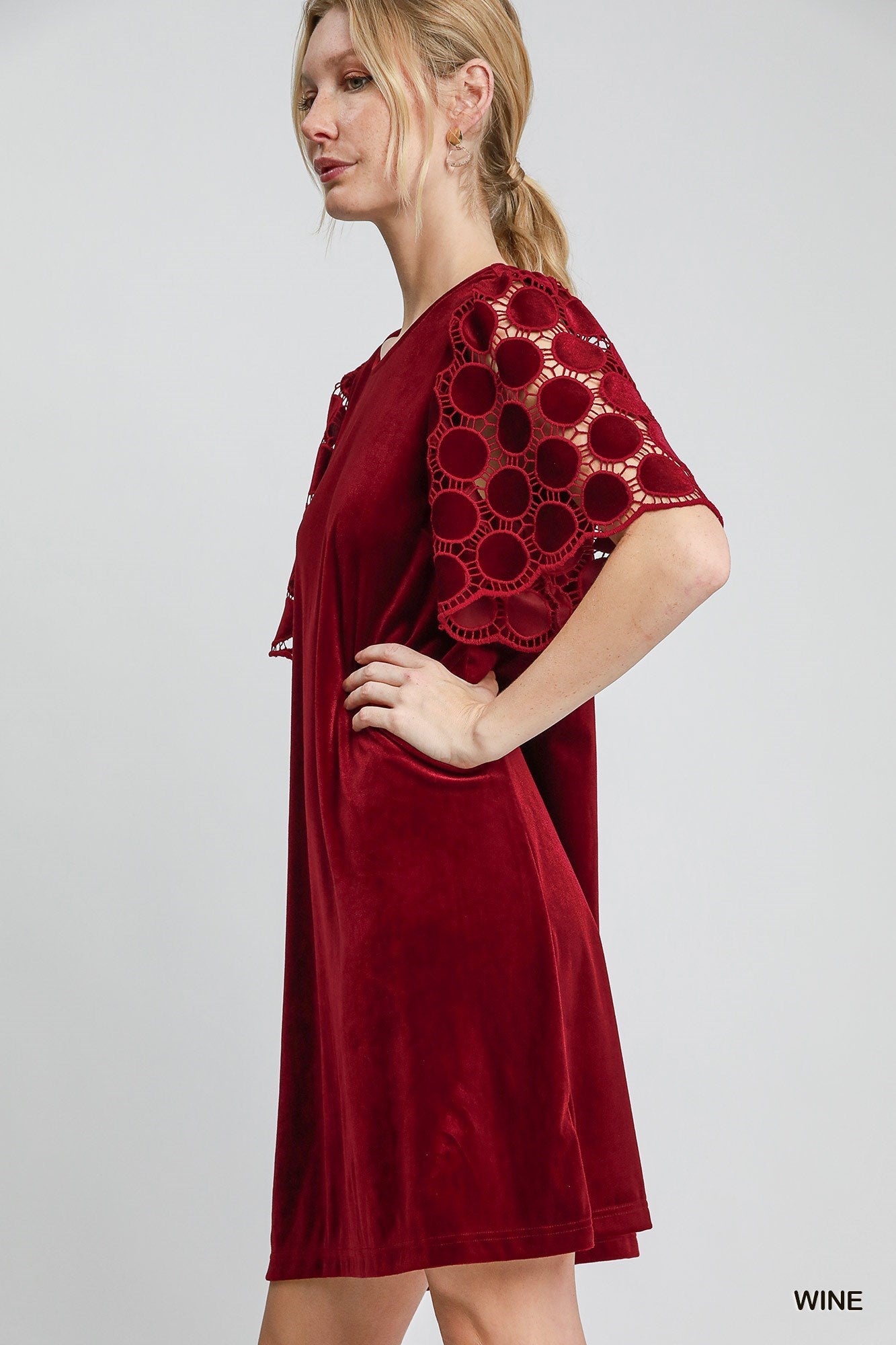 Berry Burgundy Velvet Dress